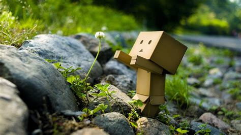 Danboard Wallpapers Hd Desktop And Mobile Backgrounds