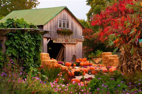 Vermont Pumpkins And Autumn Flowers Photograph By Jeff Folger