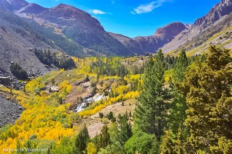 Our 6 Favorite Spots In Mono County For Fall Colors — Inked With Wanderlust