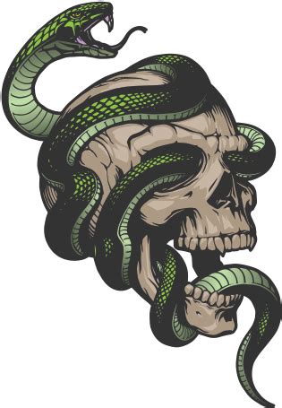 snake png clipart - Green Snake Round - Snake Wrapped Around Skull | #4515768 - Vippng