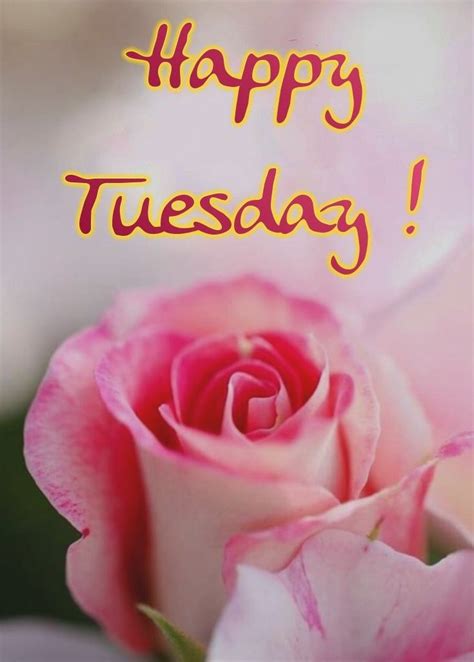 Pin By Savy Nsweet On Quotes Good Morning Flowers Tuesday Greetings Happy Tuesday