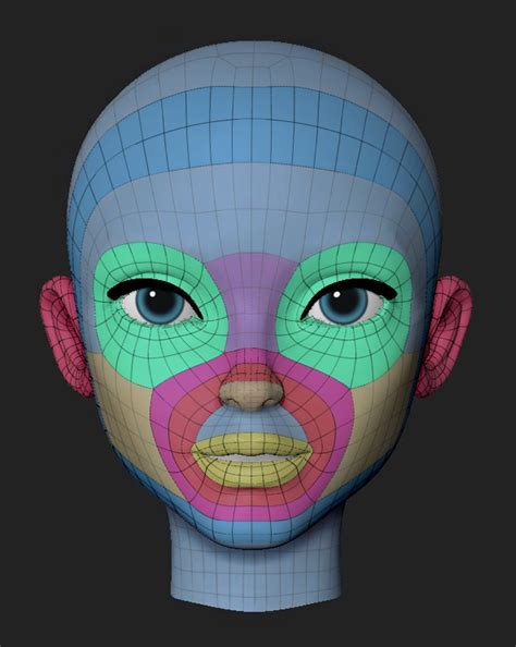 head topology 3d 아트 3d 캐릭터 해부학 예술