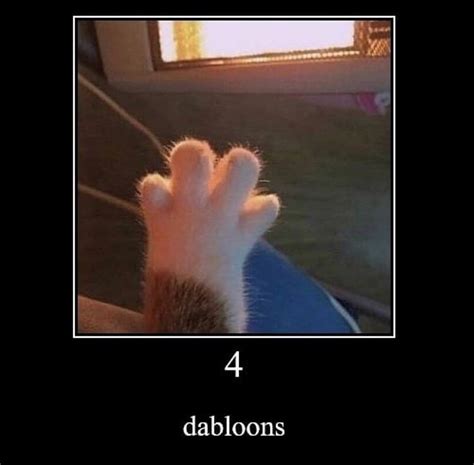 4 Dabloons Cat Meme Tiktok Dabloons Tiktok Doubloons 4 Dabloons
