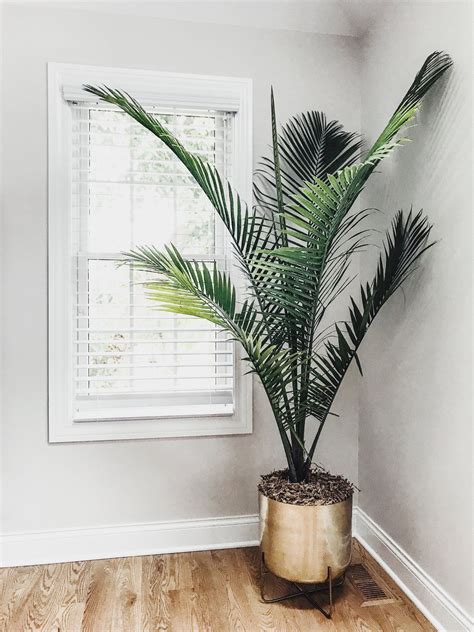 See full list on thespruce.com Home Design And Decor Ideas And Inspiration | Tall indoor ...