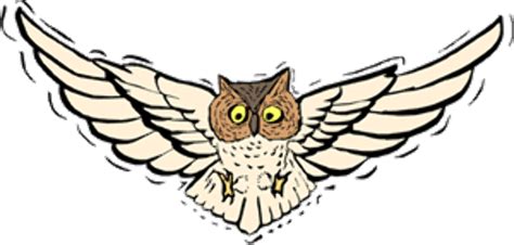 Best Ideas For Coloring Flying Owl Cartoon