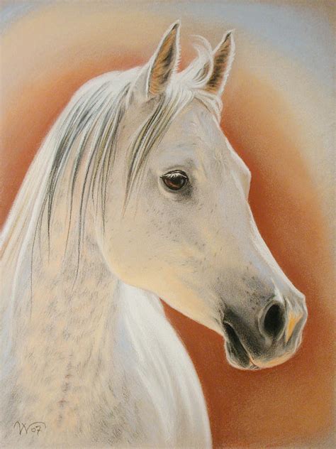 Arabian Horse Painting By Valentina Vassilieva Fine Art America