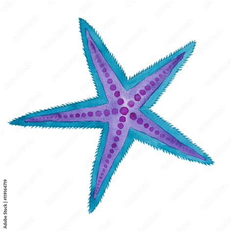 Sea Star Star Fish Watercolor Hand Painted Illustration Blue Purple Sea