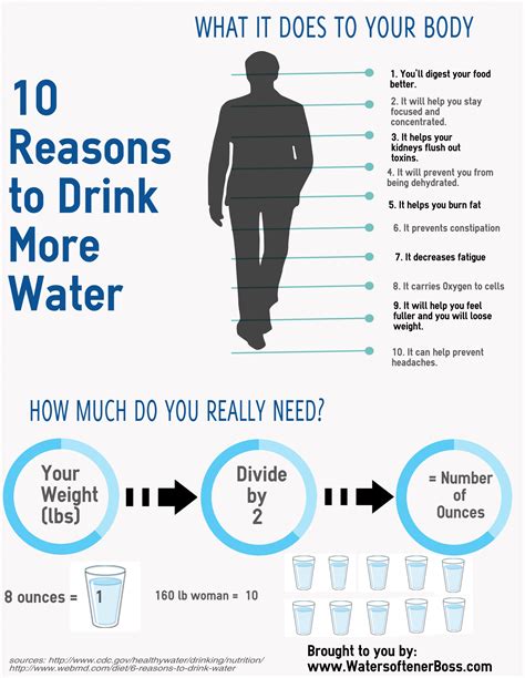 10 Reasons To Drink Water Visually