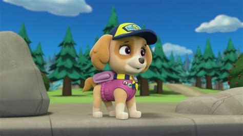 Paw Patrol Images Skye The Cockapoo Hd Wallpaper And Background Photos