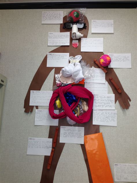 Human Body Model Organs 5th Grade Human Body Activities Science