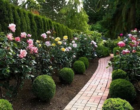 24 Cheap Front Yard Landscaping Design Ideas That Will Amaze Rose