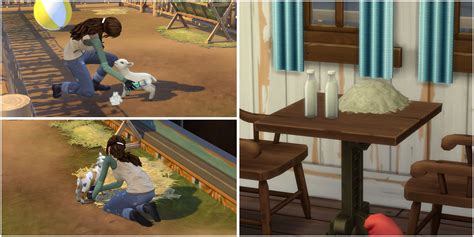 Los Sims 4 Rancho De Caballos Cómo Conseguir Mini Cabras Y Ovejas
