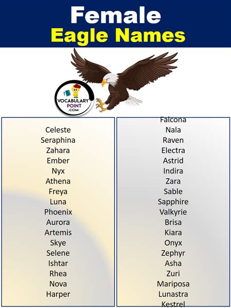 Best Eagle Names Famous Eagle Names Vocabulary Point