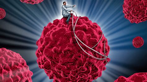 Harnessing The Immune System Has The Cure For Cancer Been Within Us