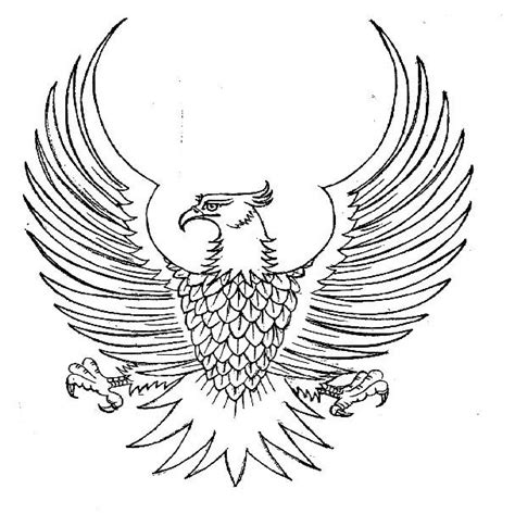 89 Gambar Garuda Indonesia Sketsa Terbaik Gambar Pixabay