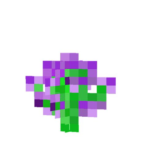 Purple Flower Nova Skin