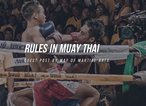 Rules In Muay Thai Fight Quality