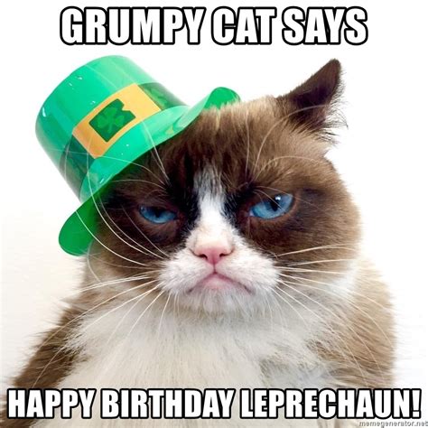 Grumpy Cat Says Happy Birthday Leprechaun Grumpy St