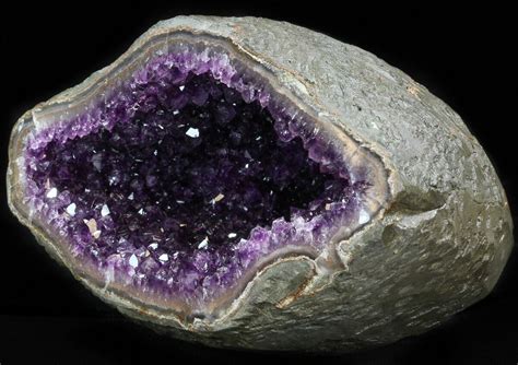 9 Dark Amethyst Geode From Uruguay 11 Lbs For Sale 41900