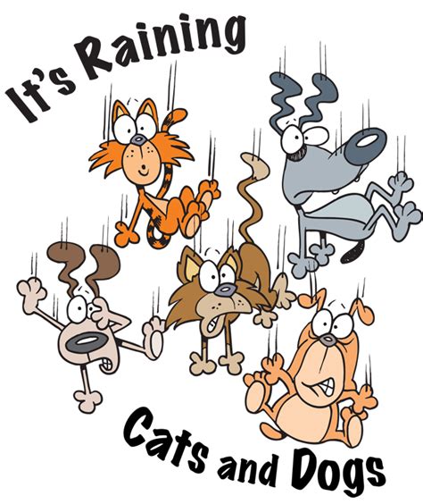 Photoshop Dog Clip Art Raining Cats And Dogs Dog Quotes