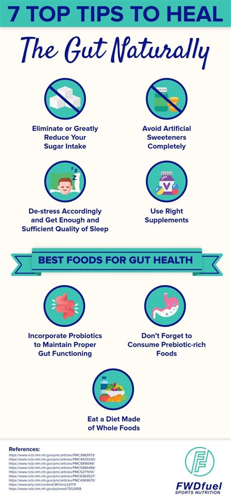 Top Tips To Heal Gut Health Naturally Fwdfuel Sports Nutrition