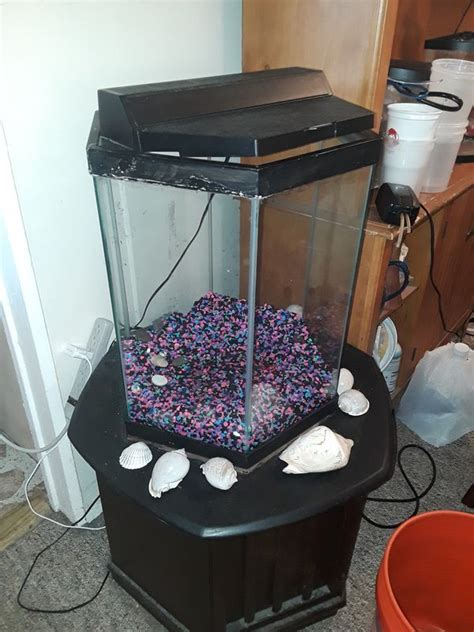 20 Gallon Hexagon Fish Tank For Sale In Queens Ny Offerup