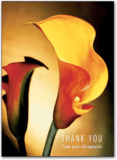 Thank You Calla Lily Folding Card Smartpractice Chiropractic