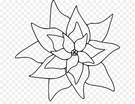 Traditional new year decoration red poinsettia plant with green leaves. Flor De Pascua Para Colorear - SEONegativo.com