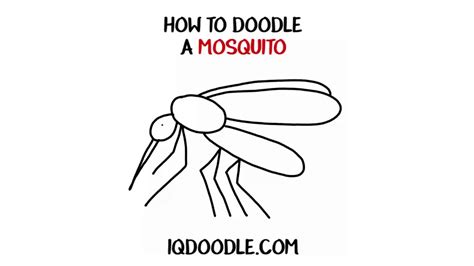 How To Draw A Mosquito Drawing Tips Youtube