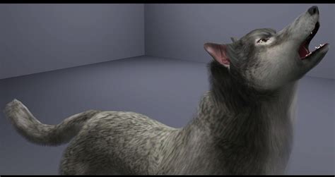 Mod The Sims Grey Wolf Sims 4 Pets Sims Grey Wolf