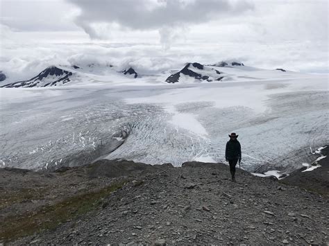 Kenai fjords national park wildlife. Kenai Fjords National Park - Seward, Alaska - TravelSages