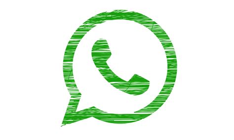 Sin Fondo Transparente Icono Logo Whatsapp Bianca Gutierrez