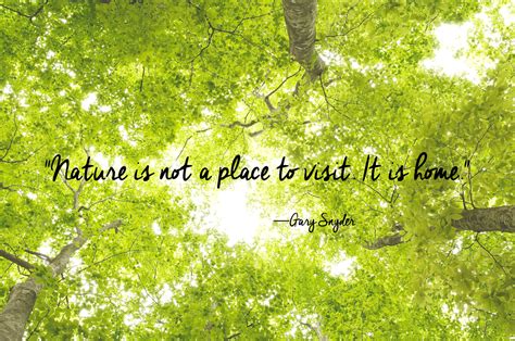 Celebrate Earth Day With These 24 Wonderful Quotes Short Nature Quotes Nature Quotes Trees