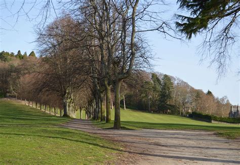 How Cluny Hill Woodland In Forres Will Be Looked After