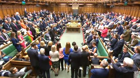 History Shows House Of Commons Pairing Row Is Nothing New Uk Politic Mag