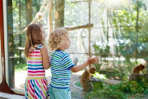 Plan A Trip To The Greenville Zoo This Year Bradshaw Automotive Group