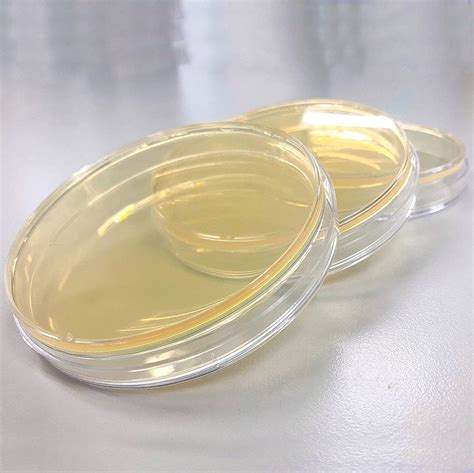 Lb Agar Plates Evviva Sciences Prepoured Nepal Ubuy