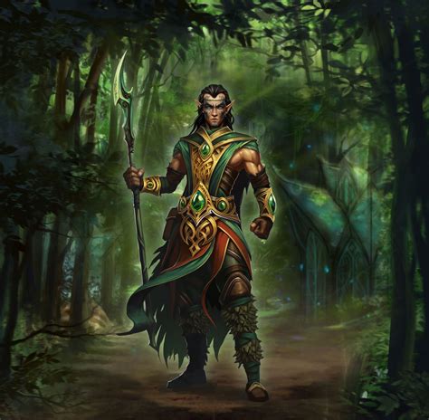 Druid Male Elf Warrior Fantasy Characters Druid
