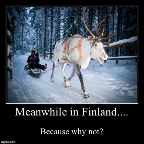 Meanwhile In Finland Imgflip