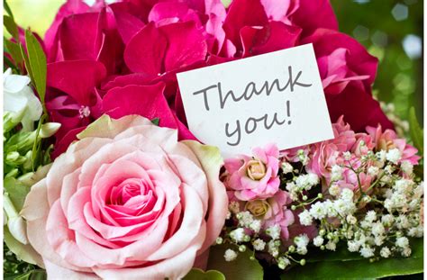Best Thank You Flowers To Express Your Gratitude OZ Flower Delivery
