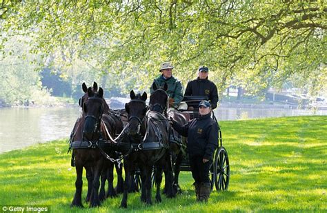 «who needs a land rover? Lady Louise Windsor, 14, drives a carriage in Windsor ...