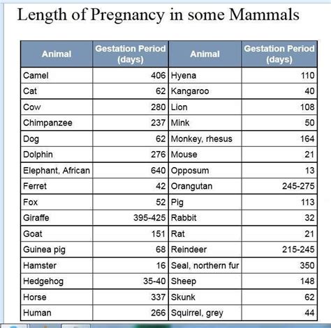 Generally, there are two main factors that contribute to the length of the. Mammals Gestation Period - Pets Lovers