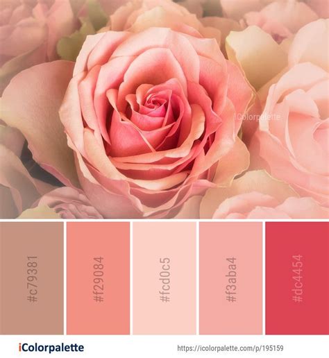 Color Palette Ideas From 9097 Flower Images