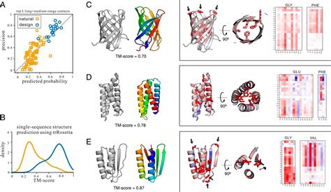 Improved Protein Structure Prediction Using Predicted Interresidue