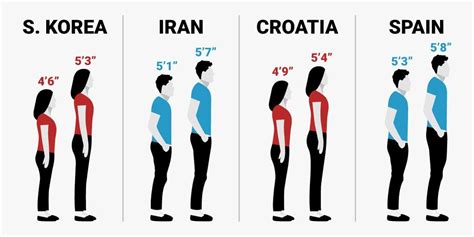 Human Height Changes Over The Last 100 Years In Different Countries R