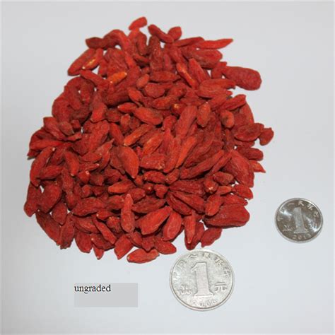 Ningxia Low Agricultural Residues Dried Goji Berrywolfberry China
