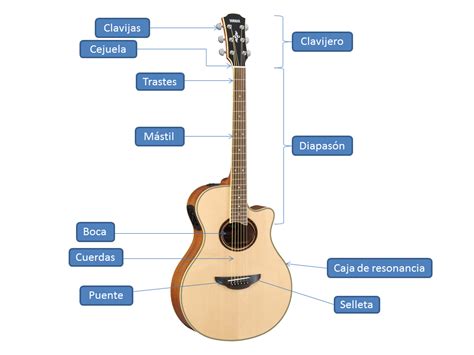Guitarra Basica Partes De Una Guitarra