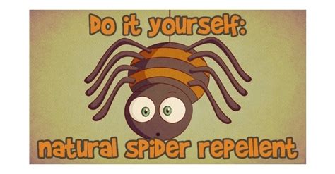 Do It Yourself Natural Spider Repellent