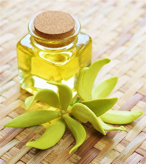 11 beneficios y usos del aceite esencial de ylang ylang para la salud la piel y el cabello