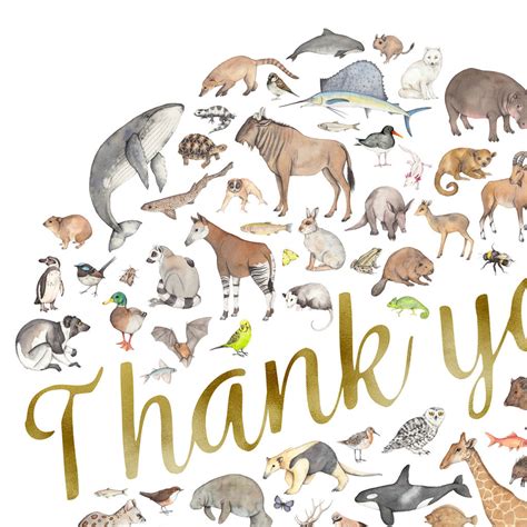 Animal Thank You Card By Dani Williams Art And Illustration